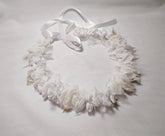 EID dresses in UK, EID dresses in Miami, EID dresses in Ireland, EID dresses Liverpool, EID dressed in New Jersey, EID dresses in London, EID dresses in Scotland, EID dresses in Ireland, EID dresses Liverpool, EID dressed in Illinois, EID dressed in Virginia, EID dressed in New York,  EID dressed in New Jersey, EID dressed in Texas, EID dressed in Michigan, EID dressed in Florida, EID dressed in Delaware, EID dressed in California